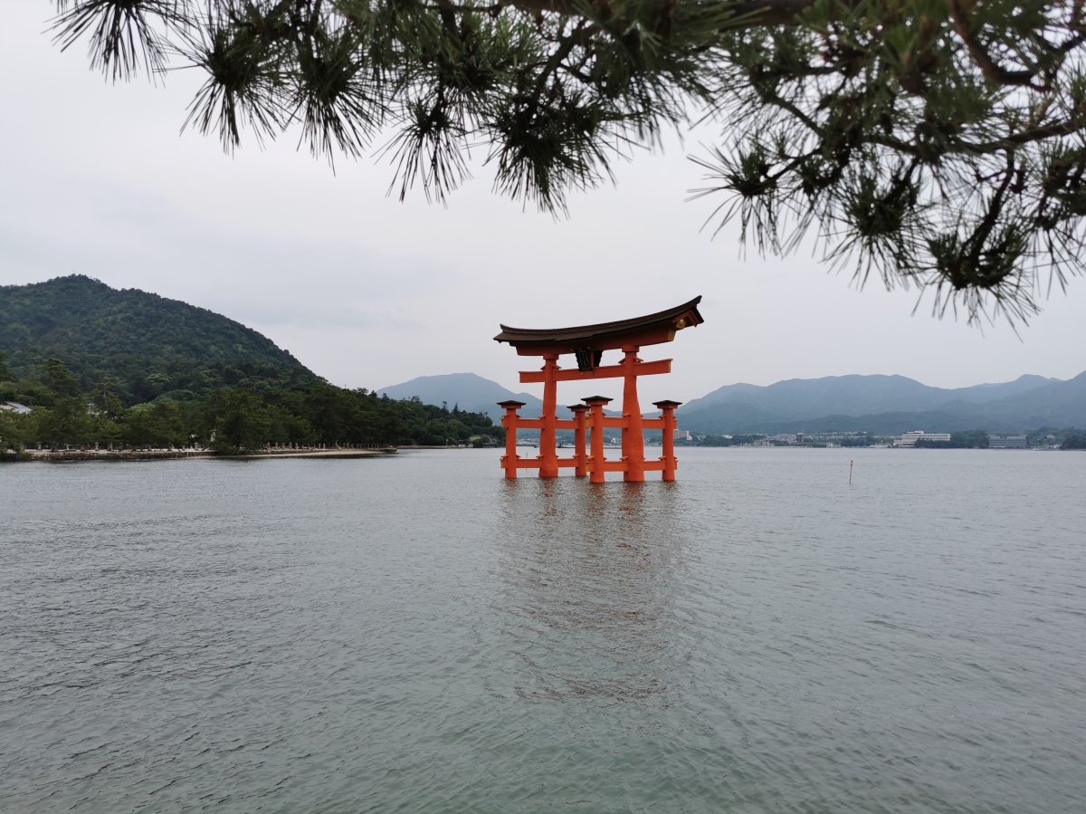 Torii