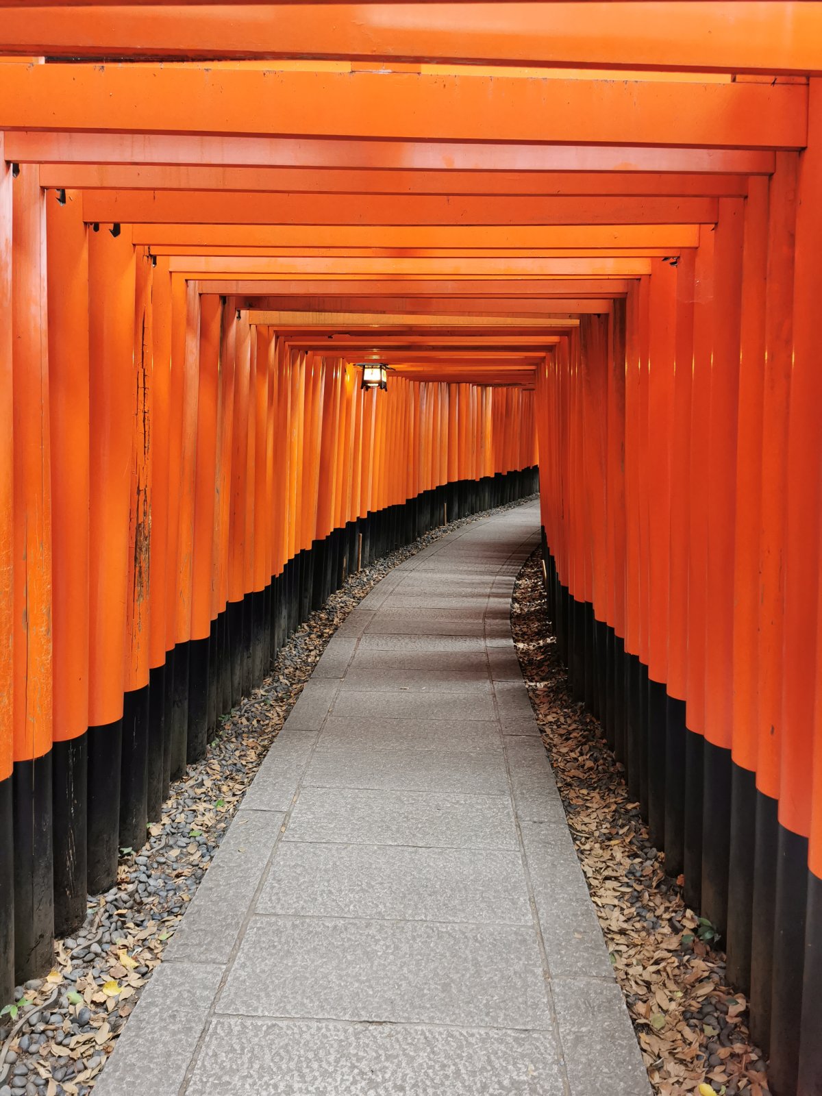 1000 Torii